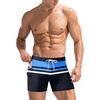 Z Blue Stripes