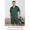 image:imageEkouaer Men Satin Silk Pajamas Set with Pockets Sleepwear Shorts Satin Summer Loungewear 2 Piece Button Down Set S3XLGreen Striped