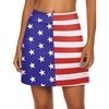 Usa Flag 01