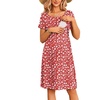Red Daisy Floral